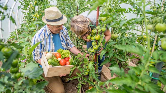 Advantages of Gardening for Elderly