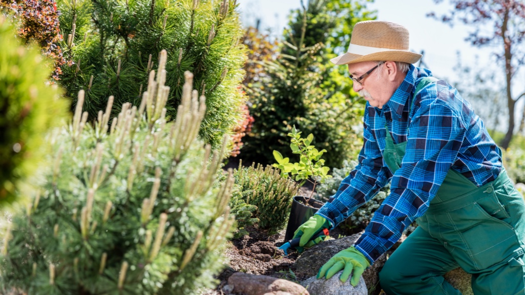 Benefits of Gardening for the Elderly