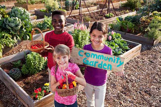 Community Gardening