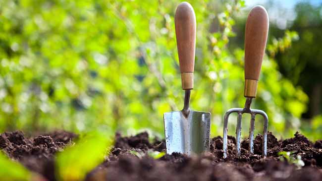 Garden tools and supplies buying guide for all