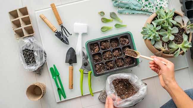 How to buy garden tools guide