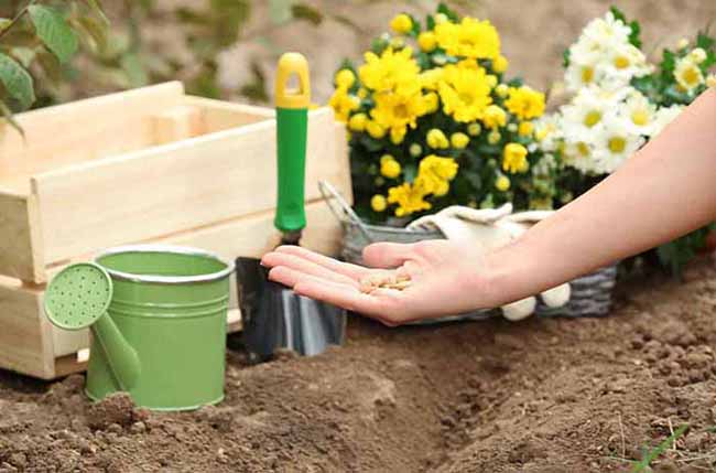 in ground gardening