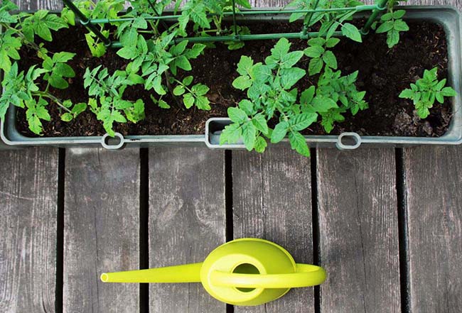 organic gardening method