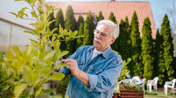 Role of elderly gardening on health