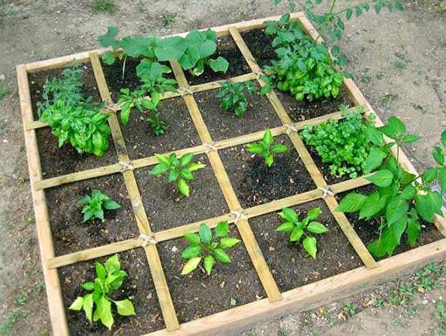 Square Foot Gardening