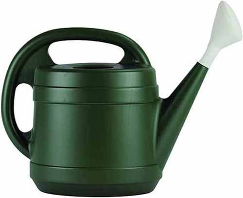 Standard Watering Can importance