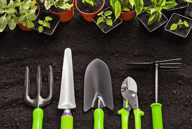 Best garden tools for beginners now