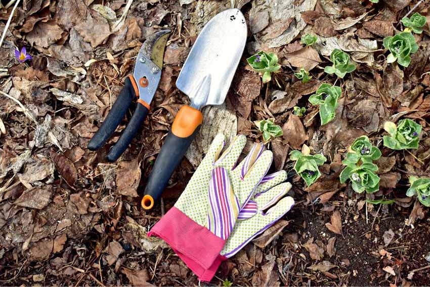 Best garden tools for beginners