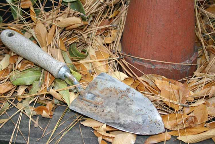 Cause for rusting gardening tools