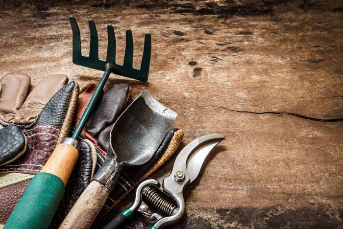 Different Types of Garden Tools