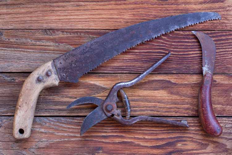 Easy and effective way to clean rusty garden tools