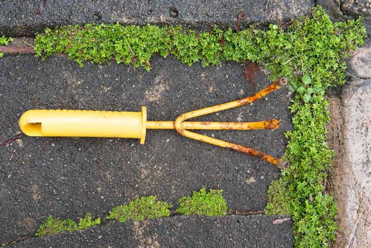 How to clean rusty garden tools