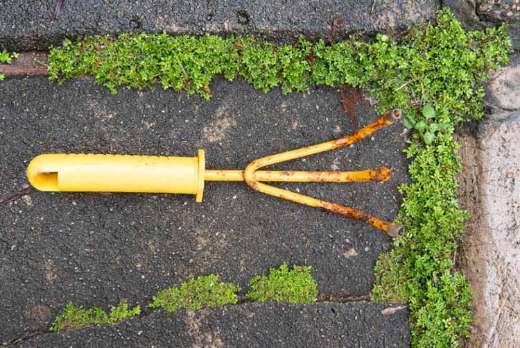 Reasons of rusting garden tools