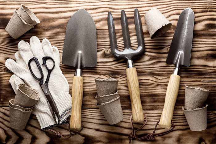 What Are The Types of Garden Tools for all