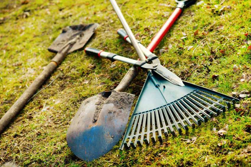 What Are The Types of Garden Tools