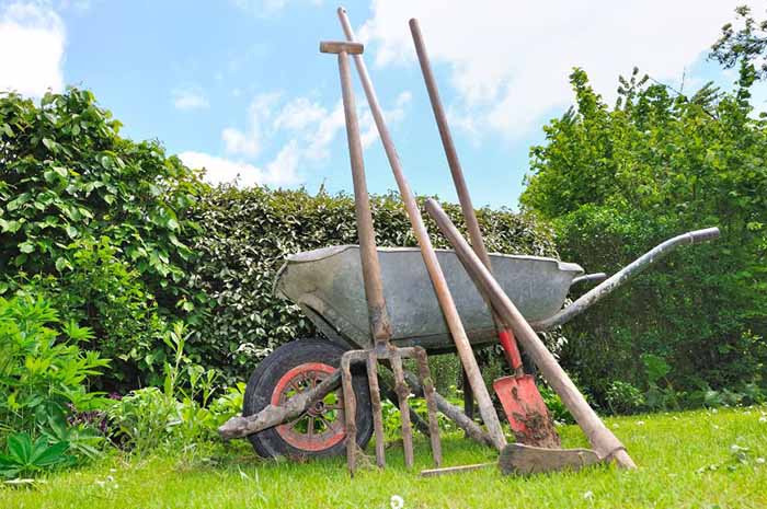 Why Is It Important to Clean Your Garden Tools now