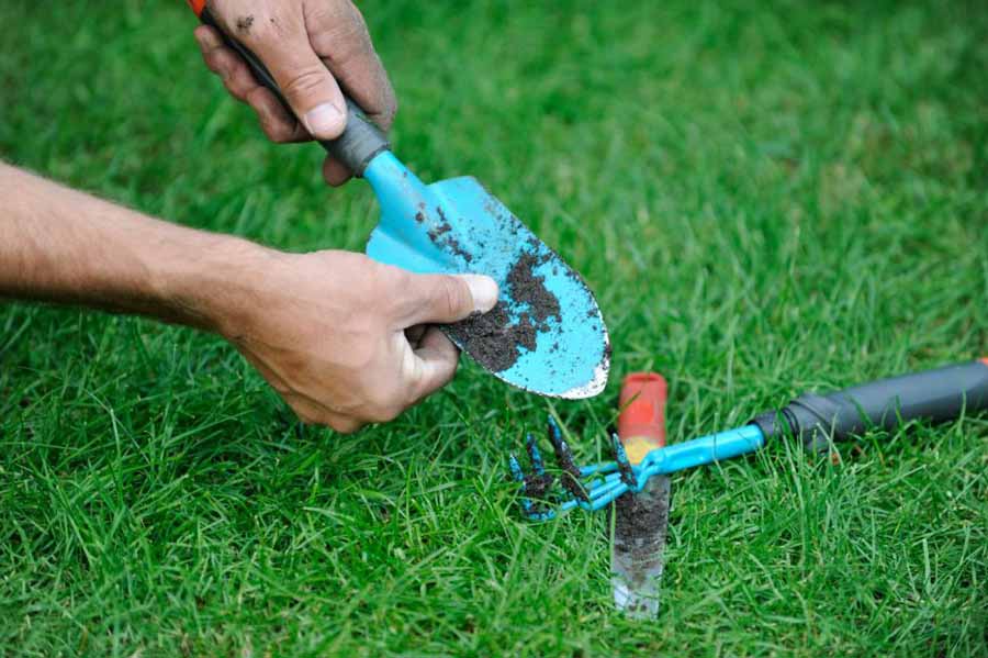 Why Is It Important to Clean Your Garden Tools