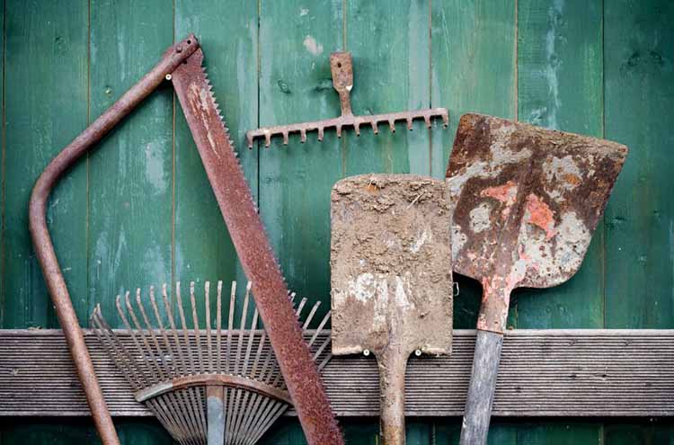 Why do garden tools rust after use