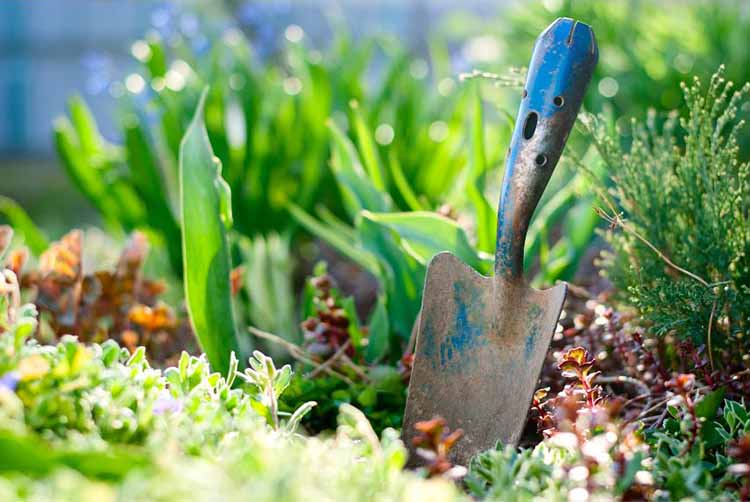 Best way to Use Garden Tools Safely