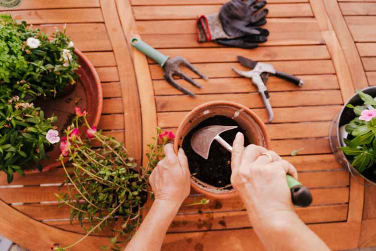 How to Use Garden Tools Safely easily