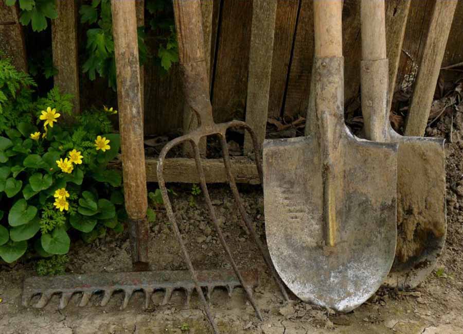 Where Can I Recycle Garden Tools