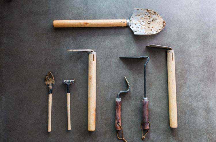 How to Care for Wooden Handled Garden Tools