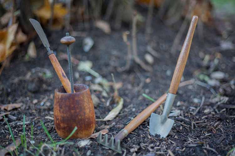 How to clean wooden handle garden tools