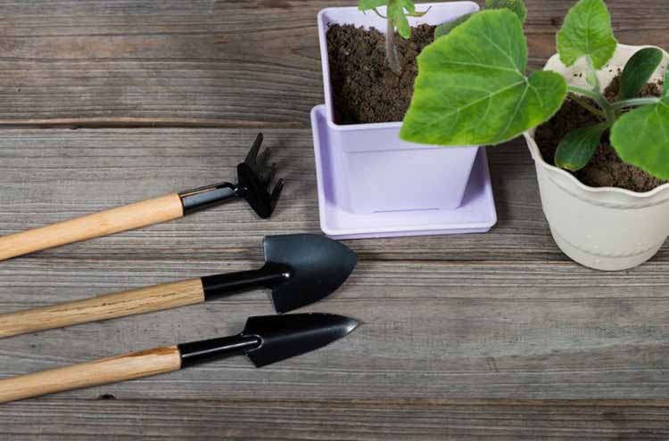 Why do you use wooden handle garden tools